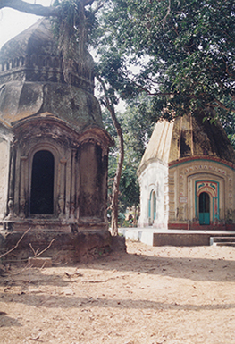 Bhabanipur Temples9