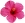 Jaba Flower