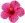 Jaba Flower